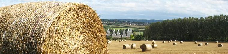 Straw Bales in East Farleigh - Photo by Ian Wilkinson